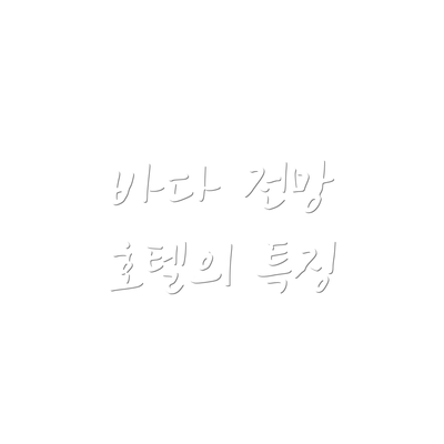 바다 전망 호텔의 특징