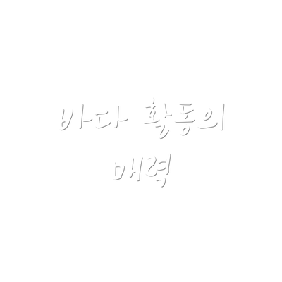 바다 활동의 매력