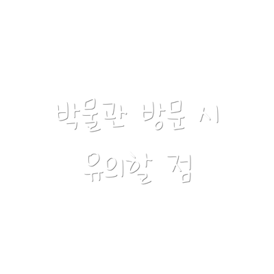 박물관 방문 시 유의할 점