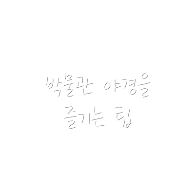 박물관 야경을 즐기는 팁