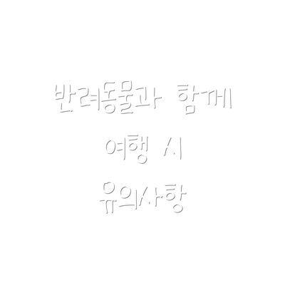 반려동물과 함께 여행 시 유의사항
