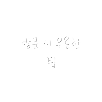 방문 시 유용한 팁