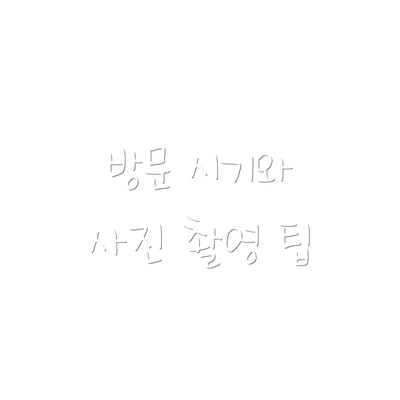 방문 시기와 사진 촬영 팁