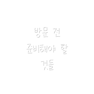 방문 전 준비해야 할 것들