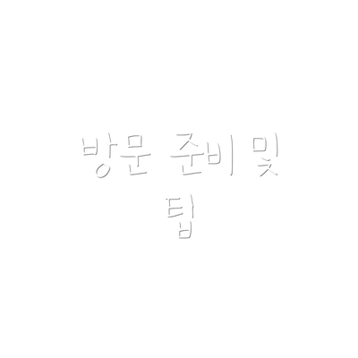 방문 준비 및 팁