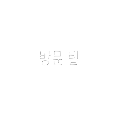 방문 팁