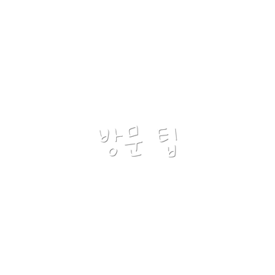 방문 팁