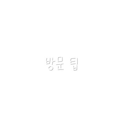 방문 팁