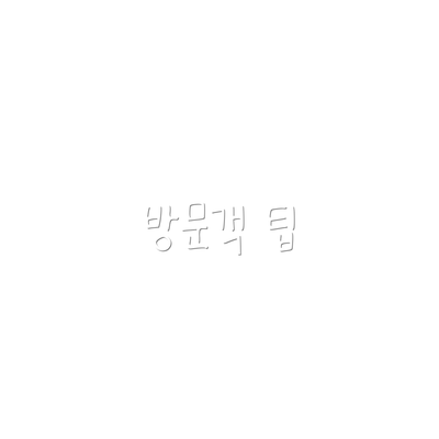 방문객 팁