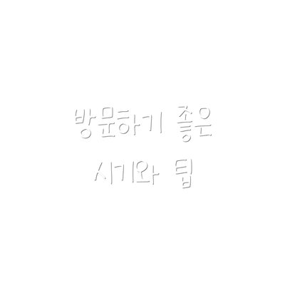 방문하기 좋은 시기와 팁