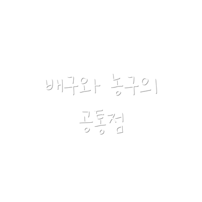 배구와 농구의 공통점