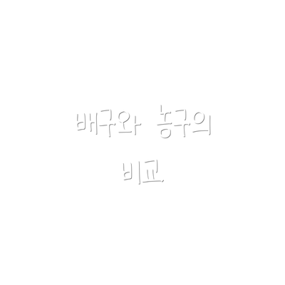 배구와 농구의 비교