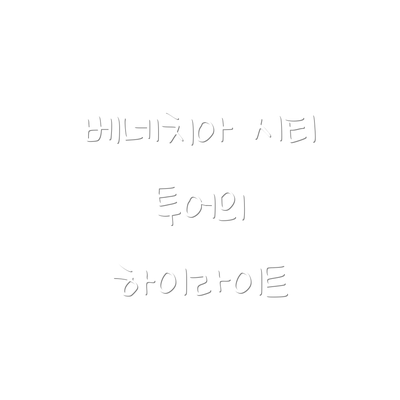 베네치아 시티 투어의 하이라이트