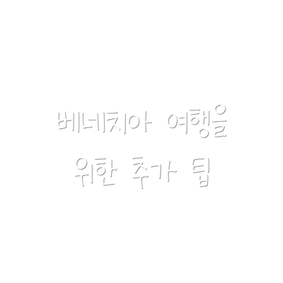 베네치아 여행을 위한 추가 팁