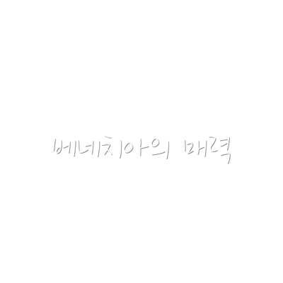베네치아의 매력