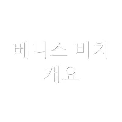 베니스 비치 개요