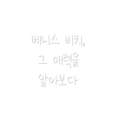 베니스 비치, 그 매력을 알아보다
