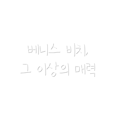 베니스 비치, 그 이상의 매력