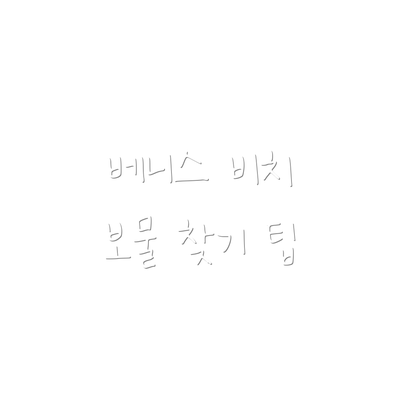 베니스 비치 보물 찾기 팁