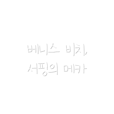 베니스 비치, 서핑의 메카