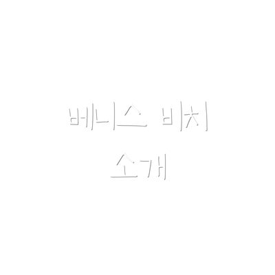 베니스 비치 소개