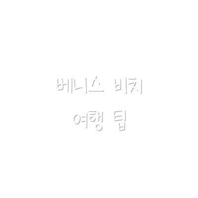 베니스 비치 여행 팁