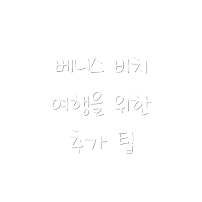 베니스 비치 여행을 위한 추가 팁