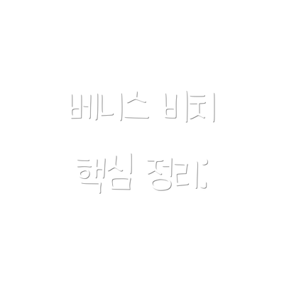 베니스 비치 핵심 정리: