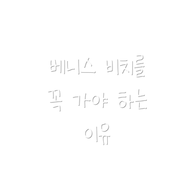 베니스 비치를 꼭 가야 하는 이유