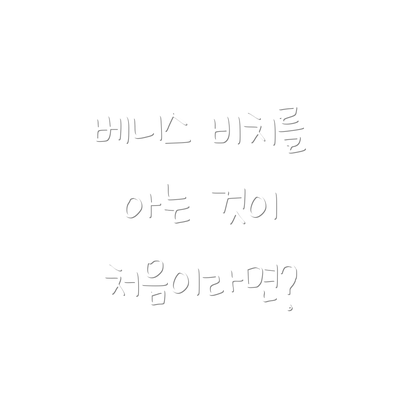 베니스 비치를 아는 것이 처음이라면?