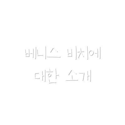 베니스 비치에 대한 소개