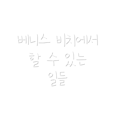 베니스 비치에서 할 수 있는 일들