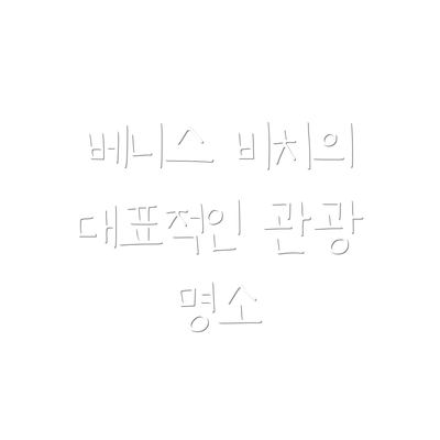 베니스 비치의 대표적인 관광 명소