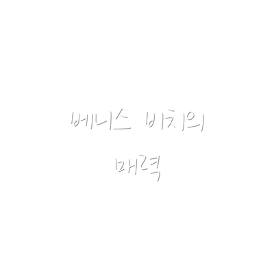 베니스 비치의 매력