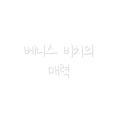 베니스 비치의 매력