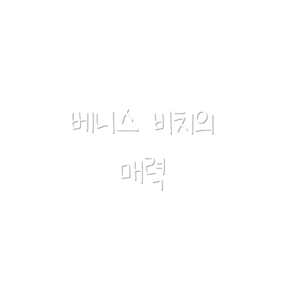 베니스 비치의 매력