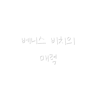 베니스 비치의 매력