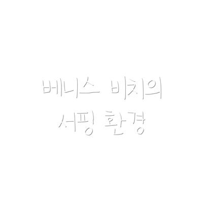 베니스 비치의 서핑 환경
