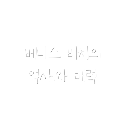 베니스 비치의 역사와 매력