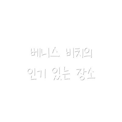 베니스 비치의 인기 있는 장소