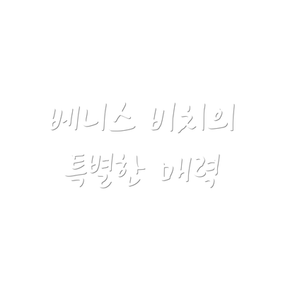 베니스 비치의 특별한 매력