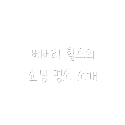 베버리 힐스의 쇼핑 명소 소개