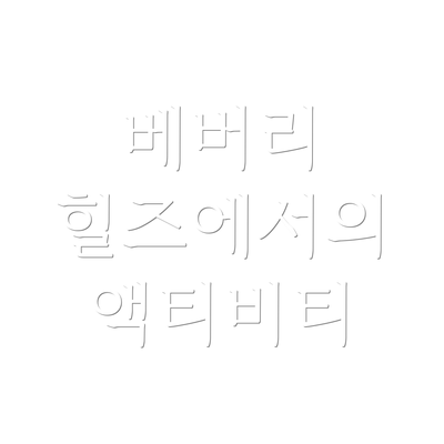 베버리 힐즈에서의 액티비티
