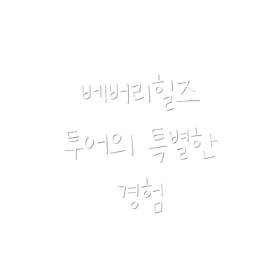 베버리힐즈 투어의 특별한 경험