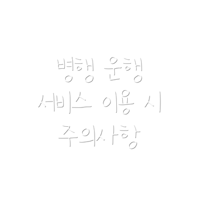 병행 운행 서비스 이용 시 주의사항