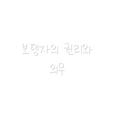 보행자의 권리와 의무