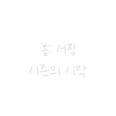 봄: 서핑 시즌의 시작