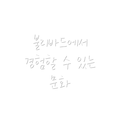 불리바드에서 경험할 수 있는 문화