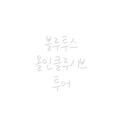 블루투스 올인클루시브 투어