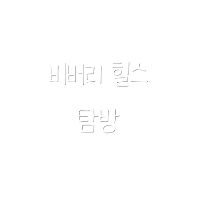 비버리 힐스 탐방